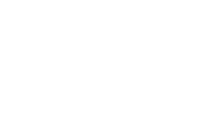 CEO Ascent